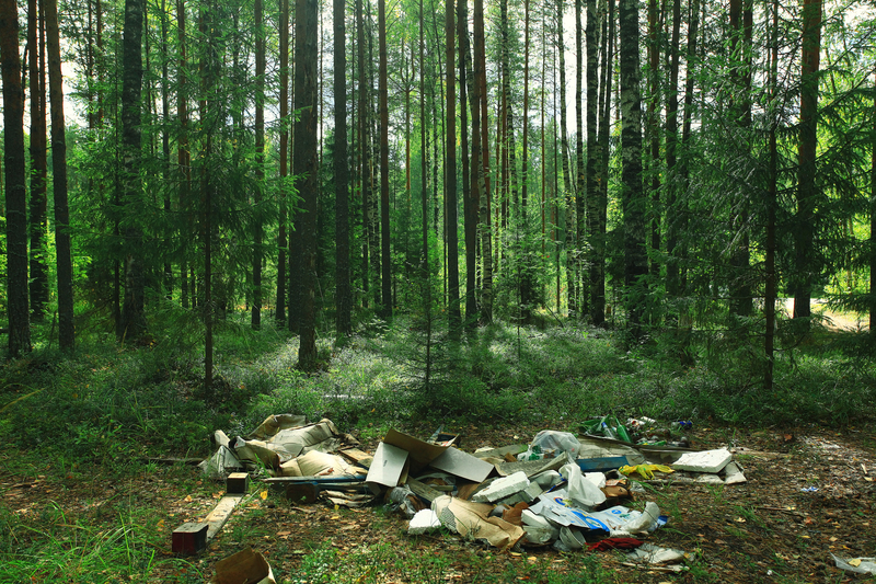 waste removal waste disposal